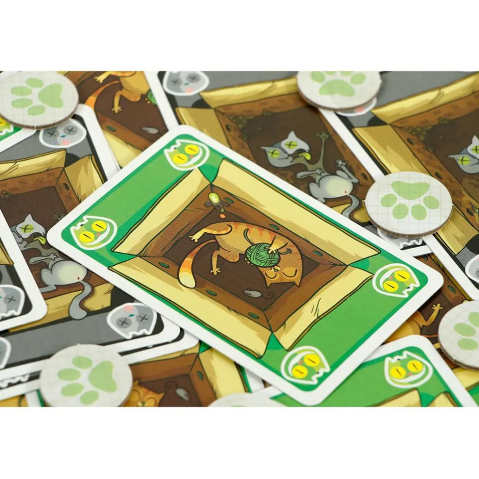 Clearance 999 Games Schrödinger's Katten kaartspel