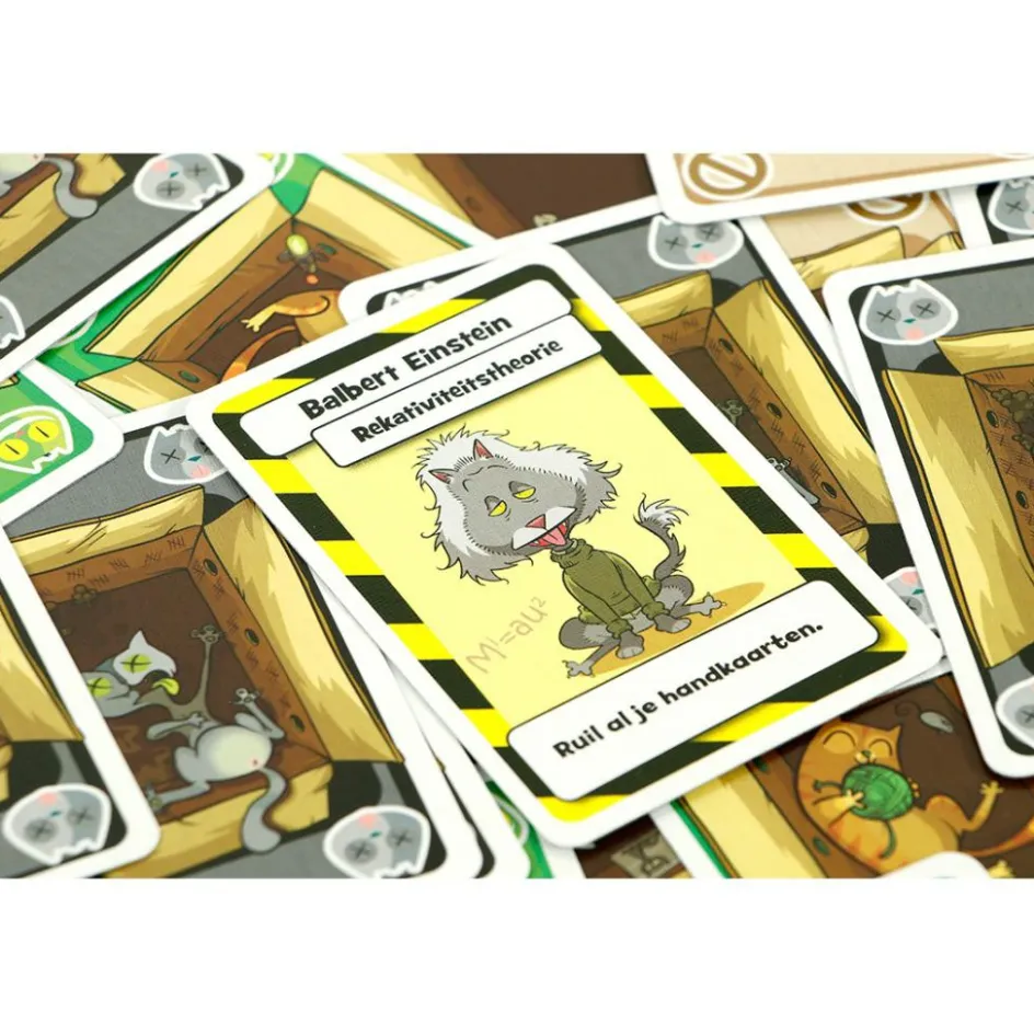 Clearance 999 Games Schrödinger's Katten kaartspel