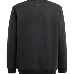 adidas ALL SZN Graphic sweater junior black