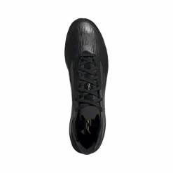 adidas F50 Pro FG voetbalschoenen heren core black iron metallic gold metallic