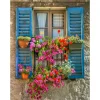 All Seasons Posters  Raam met blauwe luiken en bloemen tuinposter 60 x  80