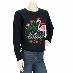 Apollo X-Mas sweater dames assorti