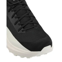 Discount Arc'teryx Norvan LD 4 wandelschoenen heren black arctic silk