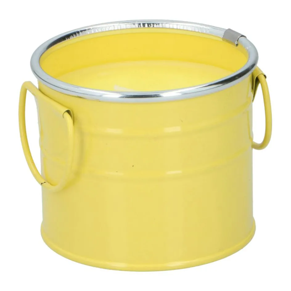 Arti Casa Citronella Emmer kaars assorti