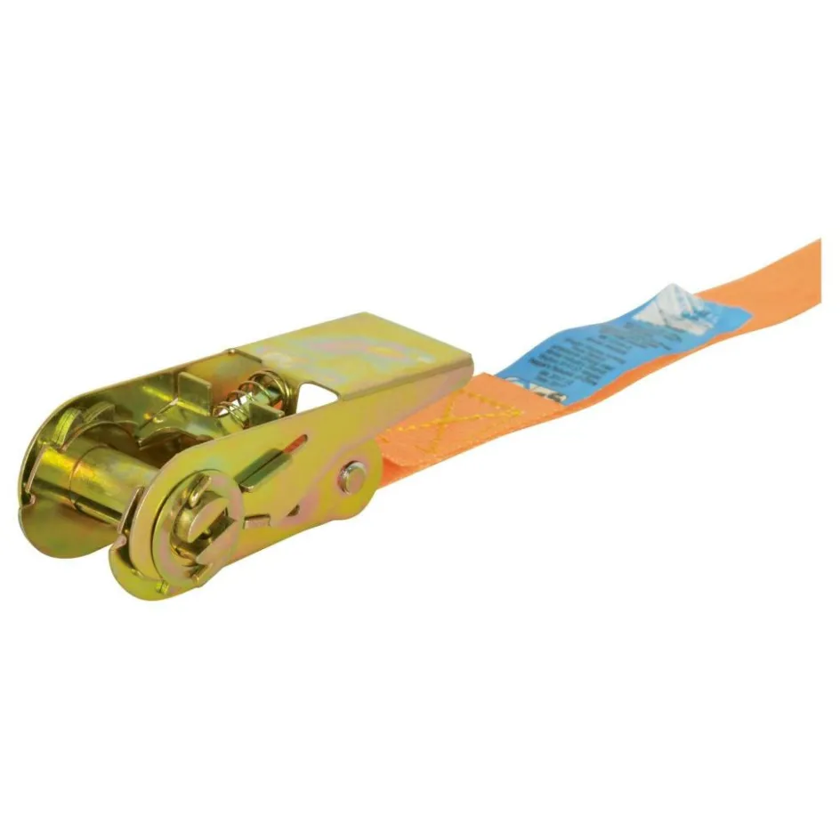 Carpoint Spanband met ratel 3 meter