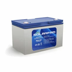 DWS AGM 12V-100Ah accu