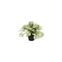 Sale DWS Fittonia Bush kunstplant