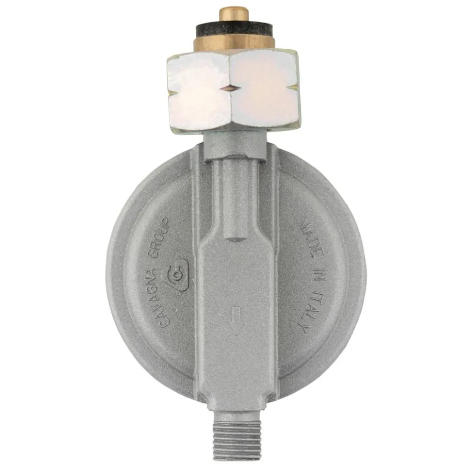 Best DWS Gasdrukregelaar universeel 50 mbar