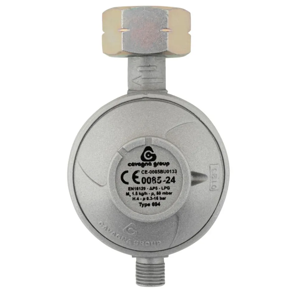 Best DWS Gasdrukregelaar universeel 50 mbar