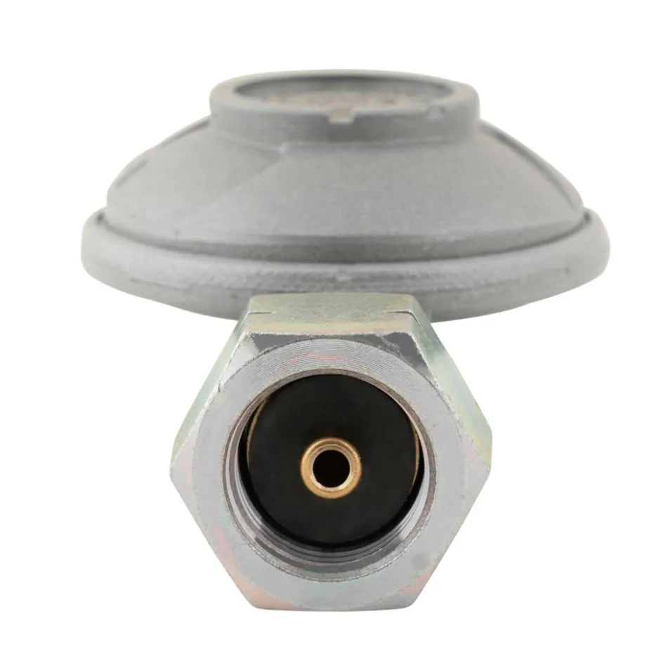 Best DWS Gasdrukregelaar universeel 50 mbar