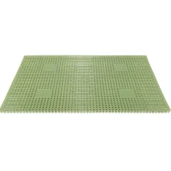 Hamat Condor deurmat 40 x 60 cm green