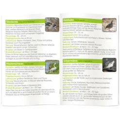 Clearance Moses. Verlag  Expeditie Natuur Onze Vogels diashow