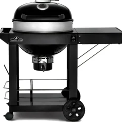 Online Napoleon PRO22 mobiele houtskoolbarbecue 57 cm black