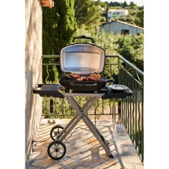 Napoleon TravelQ PRO285EX elektrische barbecue black inclusief onderstel