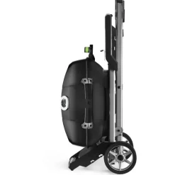 Napoleon TravelQ PRO285EX elektrische barbecue black inclusief onderstel