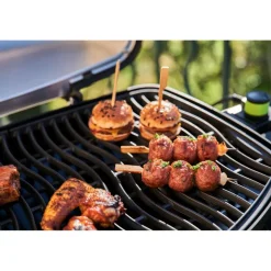 Napoleon TravelQ PRO285EX elektrische barbecue black inclusief onderstel