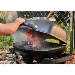 Napoleon TravelQ smokerbox