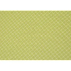 Nemo Dagger Ridge OSMO 3 lichtgewicht koepeltent birch bud