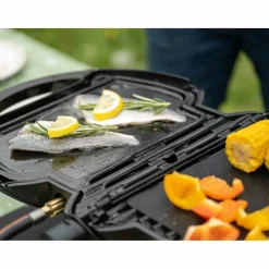 NomadiQ grillplaat
