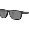 Clearance Oakley Holbrook XXL zonnebril prizm black matte black