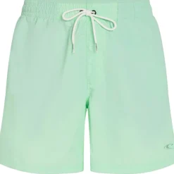 O'Neill Vert 16 inch zwembroek heren mildrew mint