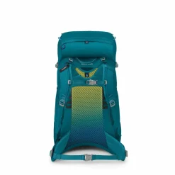 Outlet Osprey Ace 38 backpack 38L junior blue spikemoss deep peyto