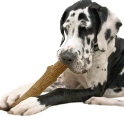 Discount Petstages Dogwood stick hondenspeelgoed M