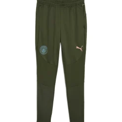 Outlet Puma Manchester City trainingsbroek heren myrtle bold blue