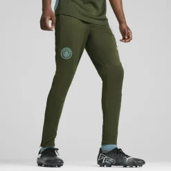Outlet Puma Manchester City trainingsbroek heren myrtle bold blue