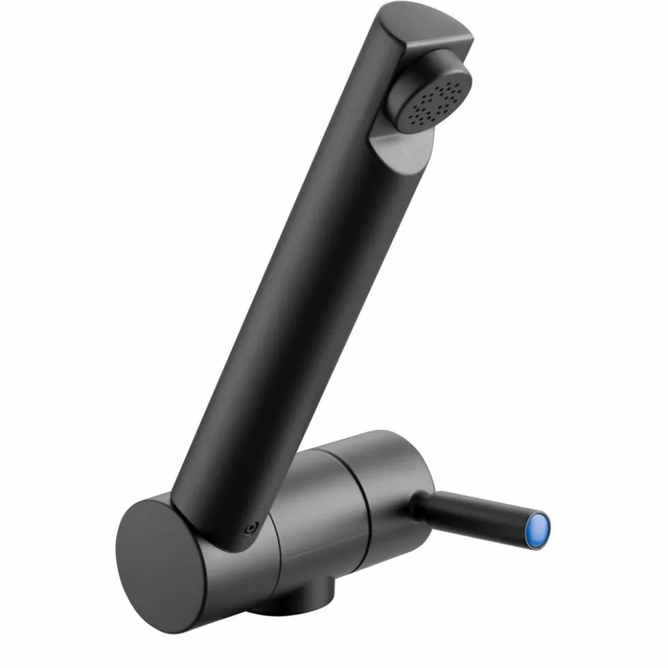 Reich Trend B koudwaterkraan zwart boorgat 27 mm