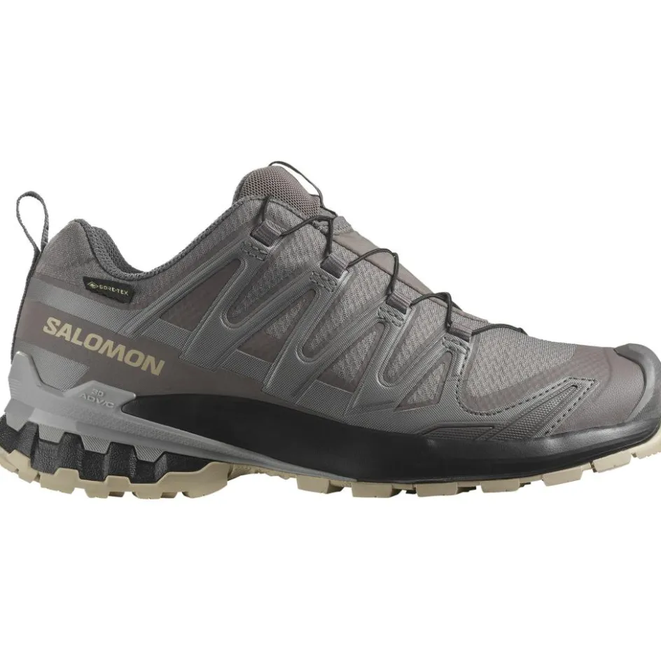 Online Salomon XA PRO 3D V9 GORE-TEX hardloopschoenen dames plum kitten black gull