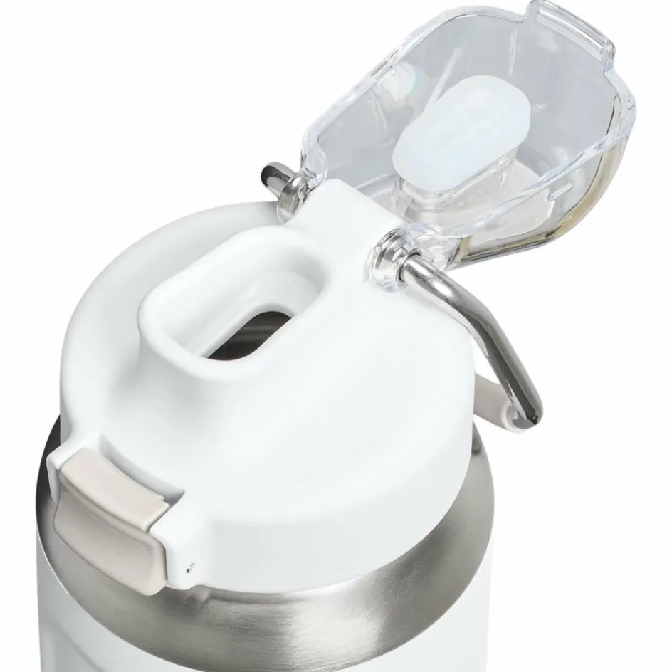 Outlet Stanley PMI Classic Wellspring Bottle thermosfles 710 ml frost