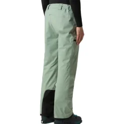 The North Face  Chakal skibroek heren slate moss