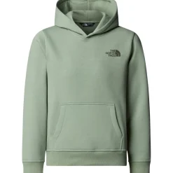 Best The North Face  Redbox hoodie junior slate moss new taupe green