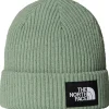 Hot The North Face  Salty Lined muts slate moss