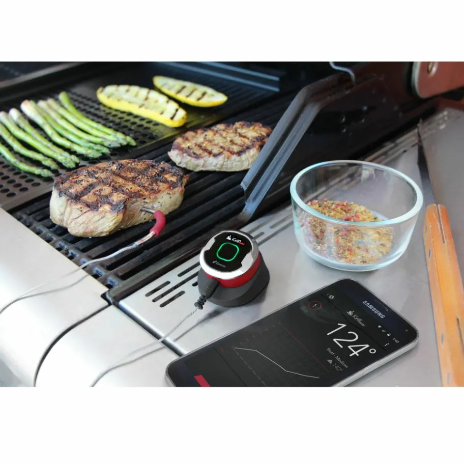 Hot Weber iGrill Mini vleesthermometer