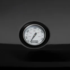 Weber Lumin elektrische barbecue black inclusief onderstel